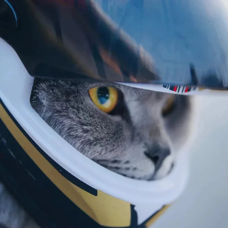 ATUBAN Small Pet Motorcycle Helmet Cat Dog Puppy Mini Helmets,Full