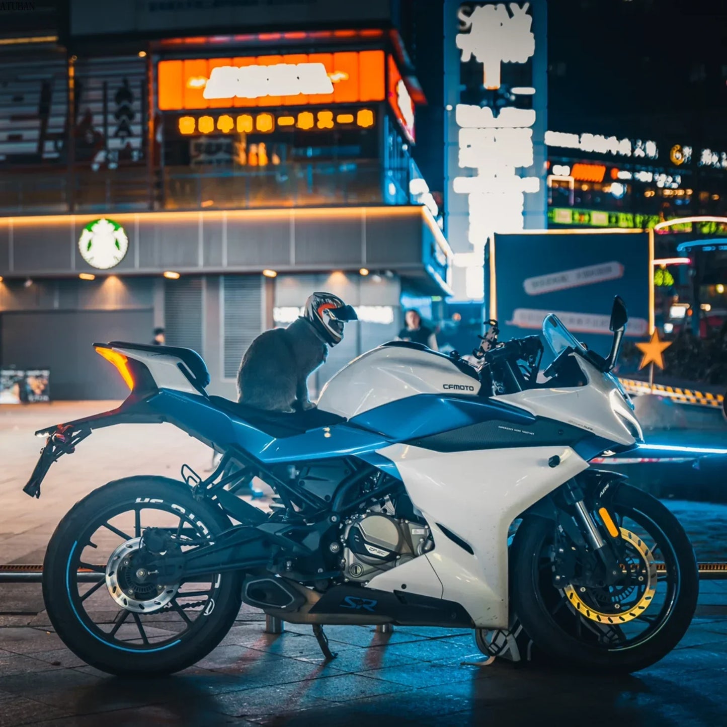 Pet Helmets,Cat Helmet,Dog Helmet-Outdoor Mini Head Protecting Safe Hat,Pet Photo Props Accessorie,Mini Motorcycle Helmet